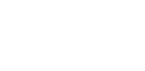 Logo technovisers