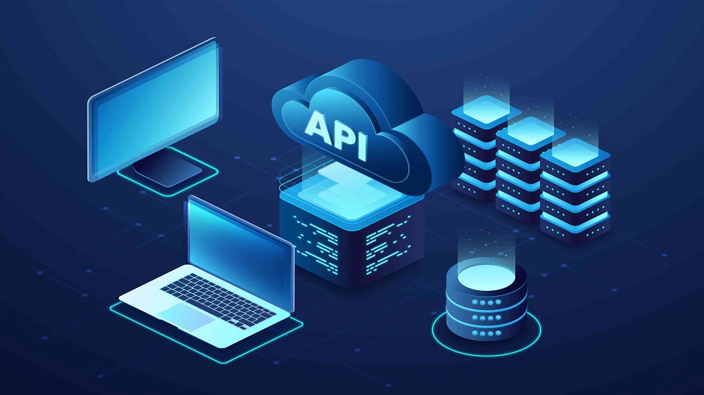 API Integration and Custom Development